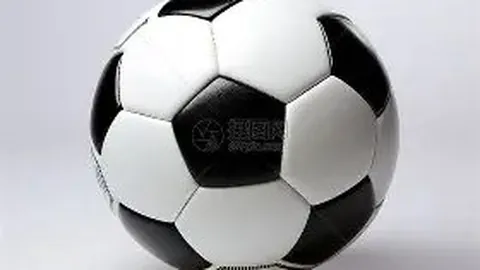 天海俱乐部向足协提交退赛请求，启动后续事务处理程序